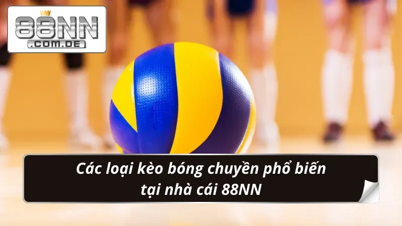 Bóng Chuyền 88NN – Nơi Hội Tụ Của Những Bet Thủ Sành Điệu 3 Phân loại kèo Bóng Chuyền đặc sắc từ nhà cái