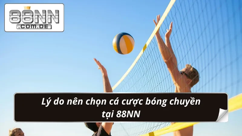 Bóng Chuyền 88NN – Nơi Hội Tụ Của Những Bet Thủ Sành Điệu 4 Ưu thế tạo điểm nhấn cho sản phẩm bet kèo Bóng Chuyền