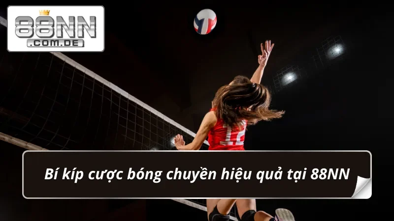 Bóng Chuyền 88NN – Nơi Hội Tụ Của Những Bet Thủ Sành Điệu 7 Mẹo chinh phục thưởng lớn khi bet kèo Bóng Chuyền