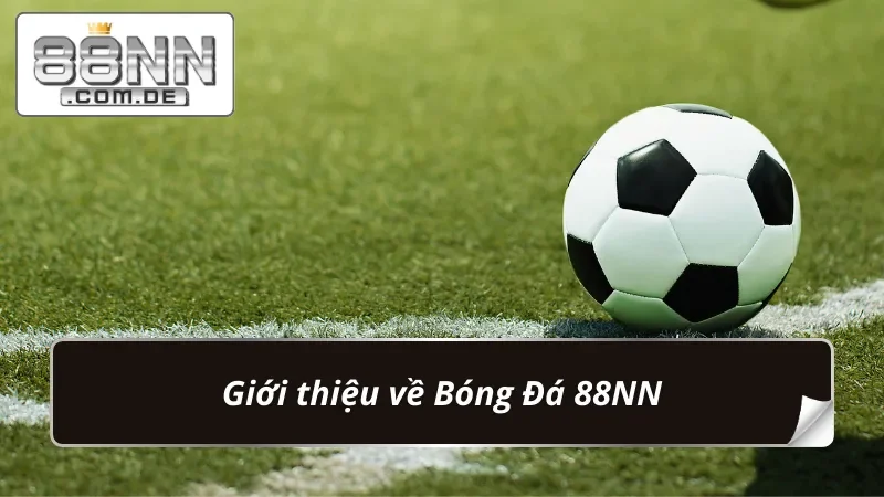 Bóng Đá 88NN – Cá Cược Chuẩn Kèo Với Tỷ Lệ Thắng Vượt Trội 2 Đôi nét về siêu phẩm bet kèo Bóng Đá
