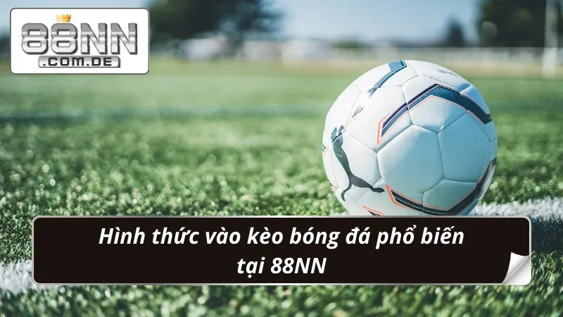 Bóng Đá 88NN – Cá Cược Chuẩn Kèo Với Tỷ Lệ Thắng Vượt Trội 3 Phân loại kèo Bóng Đá đặc sắc từ nhà cái