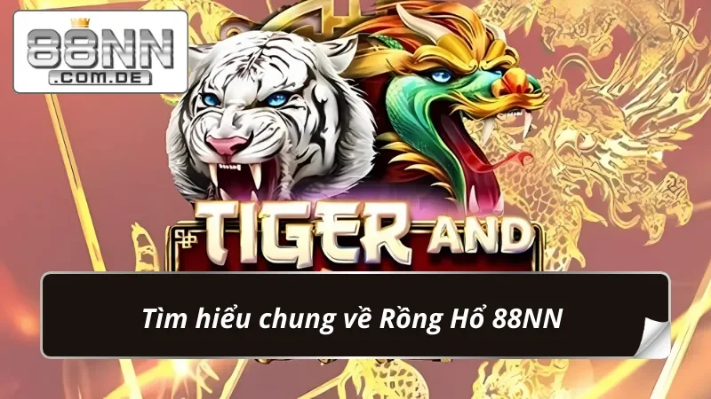 Rồng Hổ 88NN: Game Bài Đỏ Đen Ăn Tiền Trong Vài Giây 2 Sơ lược về game bài Rồng Hổ